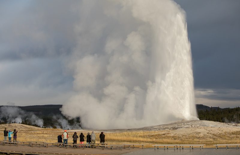 Old Faithful erupting in a tall white column of steam and water, a few people watching from the boardwalk in front of autumn grass